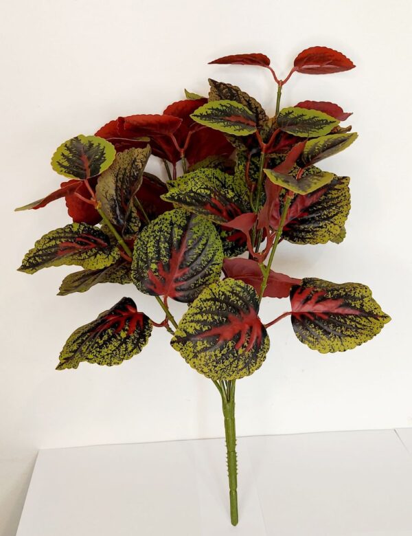 Buquê Folhagem Coleus 40cm.