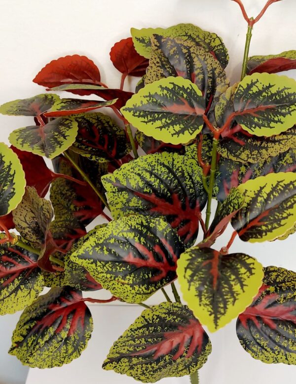 Buquê Folhagem Coleus 40cm. - Image 2