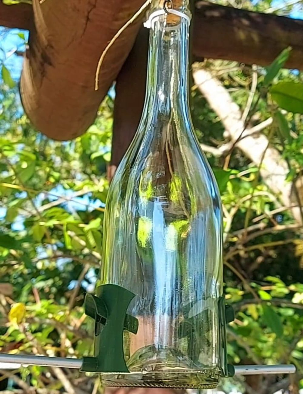 Tratador de Pássaros