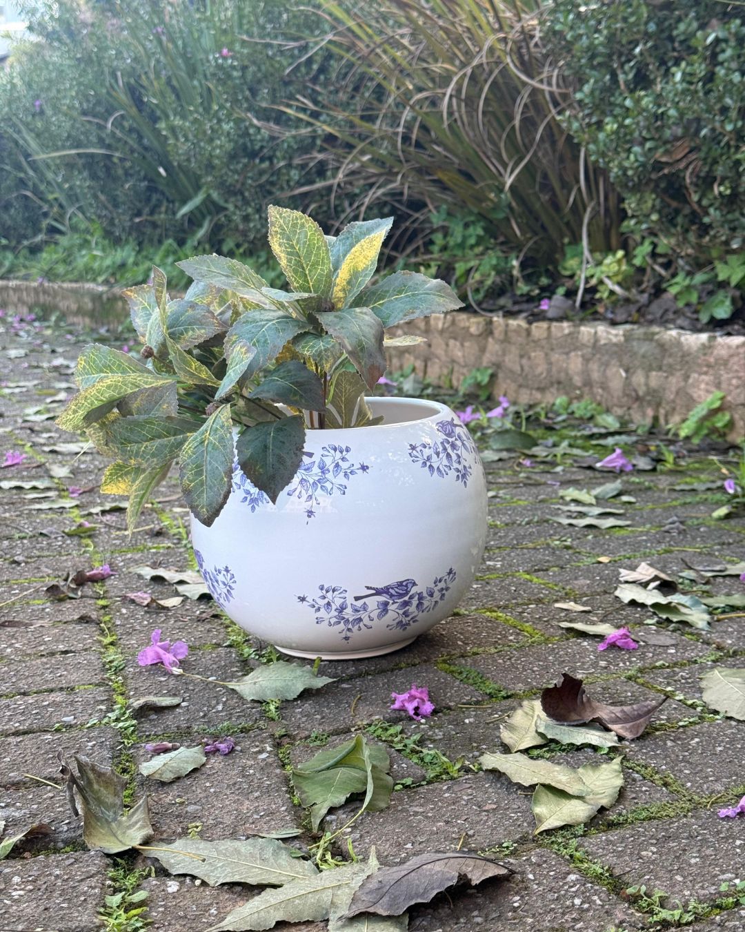 Cachepot Bird Blue - (G)