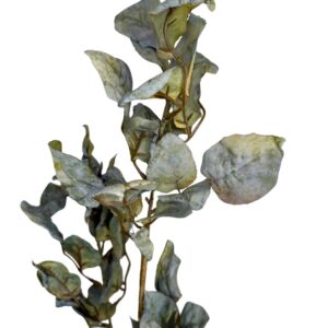 Haste Folhagem Eucalipto Toque Seco Verde - Altura 99cm