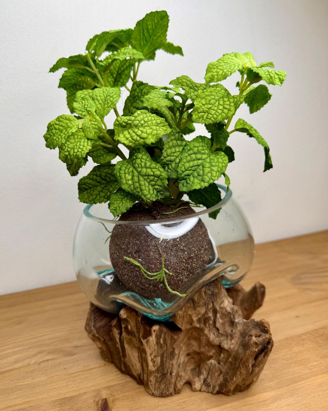 Kokedama Hortelã Verde 20cm - Imagem 2