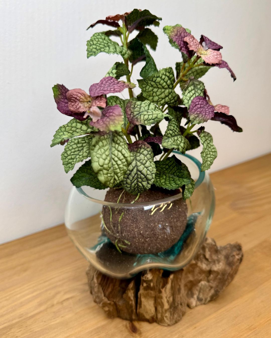 Kokedama Hortelã Roxo - 20cm - Imagem 2