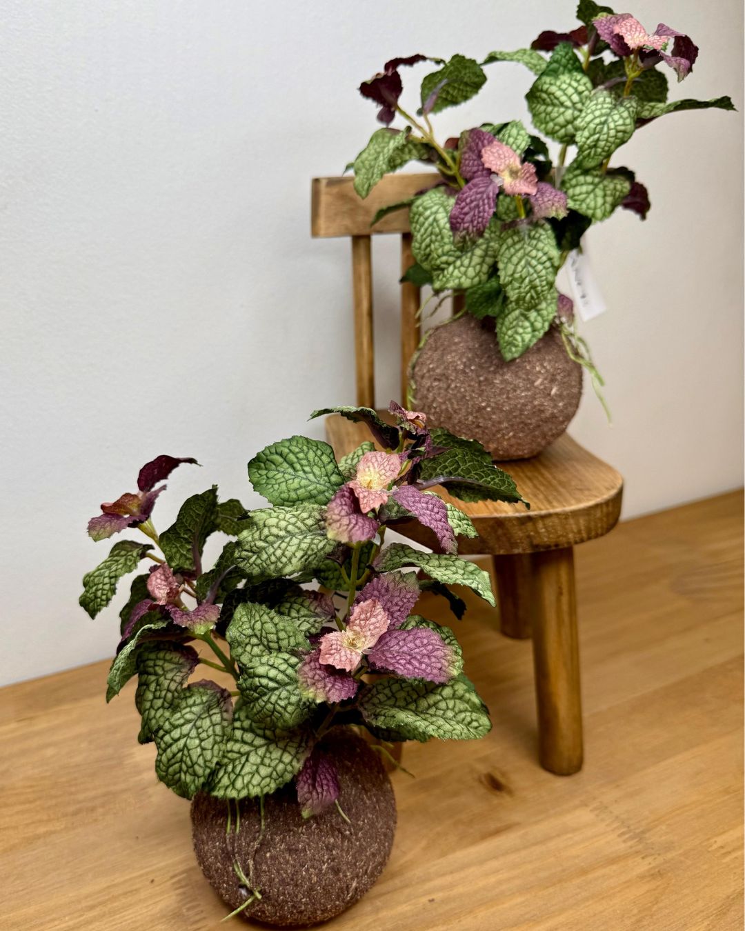 Kokedama Hortelã Roxo - 20cm