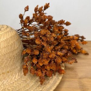 Ramalhete Silvestre Ferrugem altura 42cm