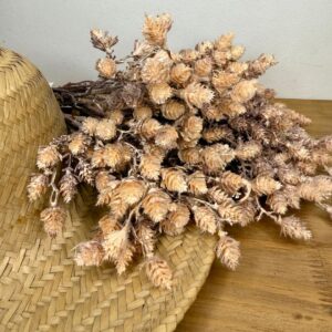 Ramalhete Silvestre Bege  altura 42cm