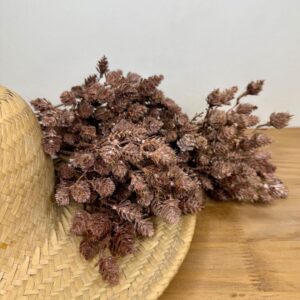Ramalhete Silvestre Natural  altura 42cm