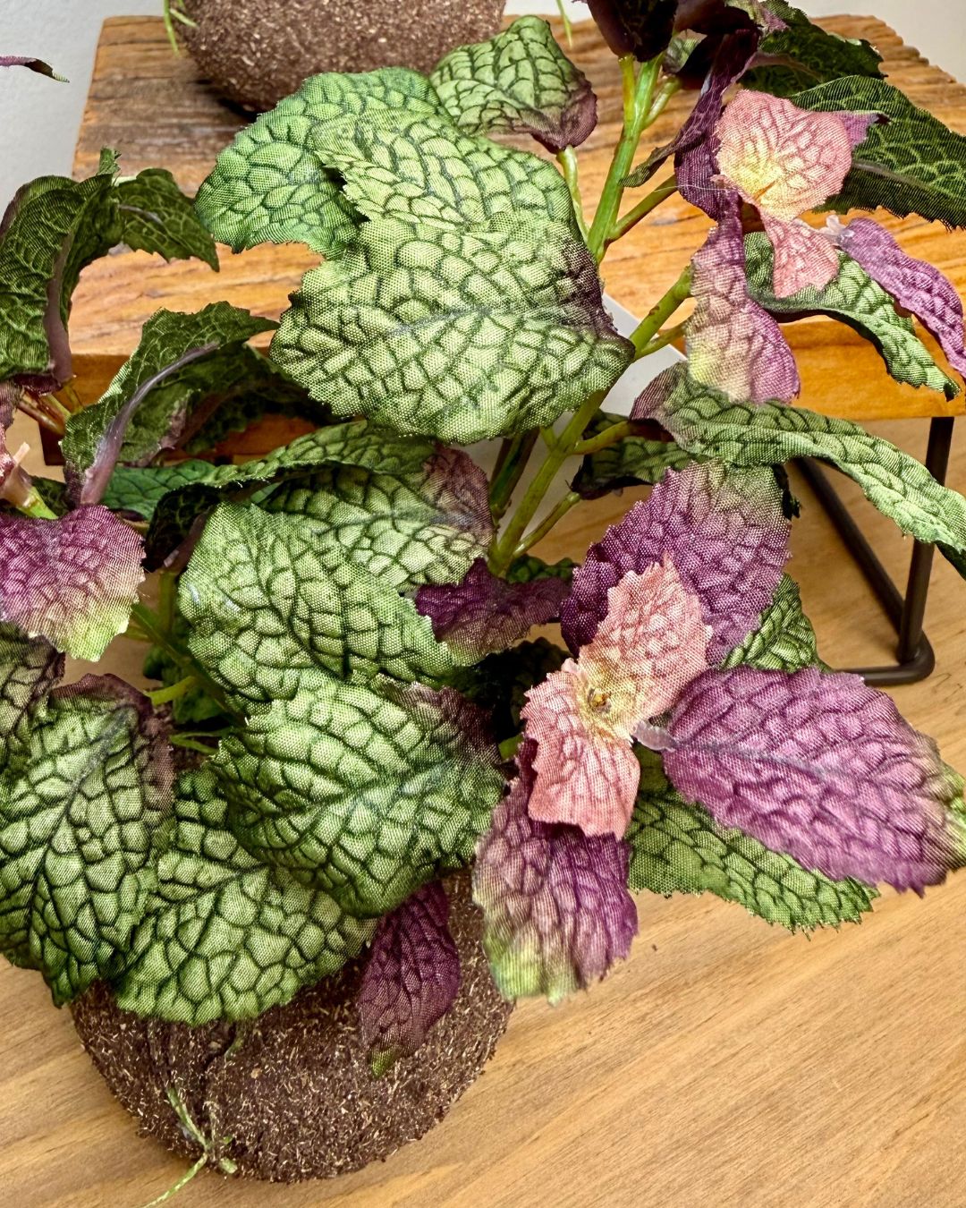 Kokedama Hortelã Roxo - 20cm - Imagem 5