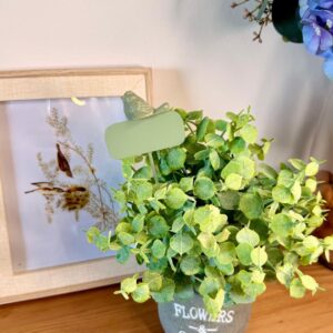 Placa Espeto Passarinho em Ferro Verde Pistache  22cmX6,5cm