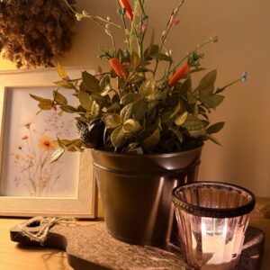 Vaso Pássaro Jardim Encantado M  14,5cmX14cmX11cm