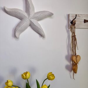 Estrela do Mar Parede Decoração em Resina  34cmX36cmX5cm