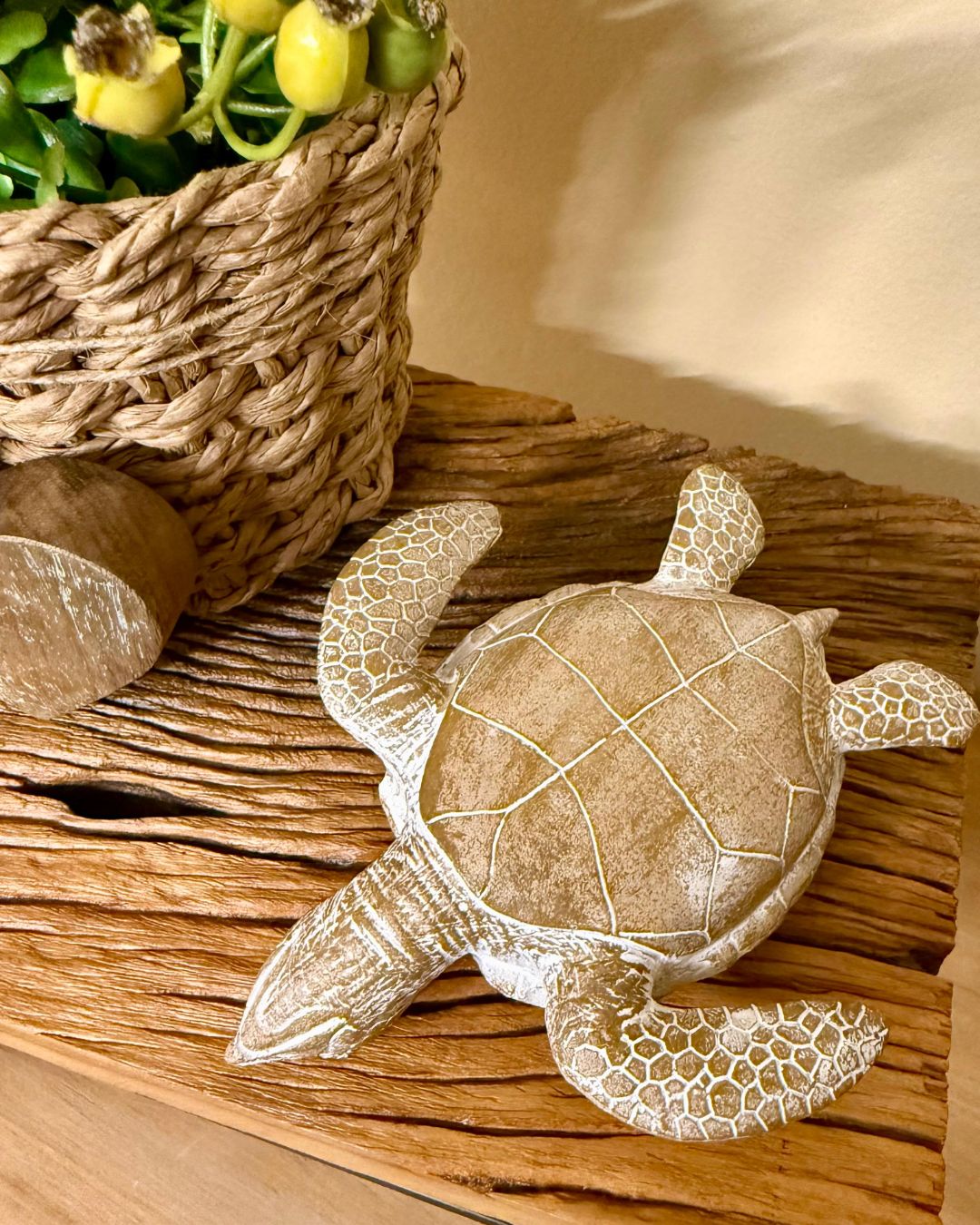Tartaruga Decorativa em Resina 14cmX13cm - Imagem 4