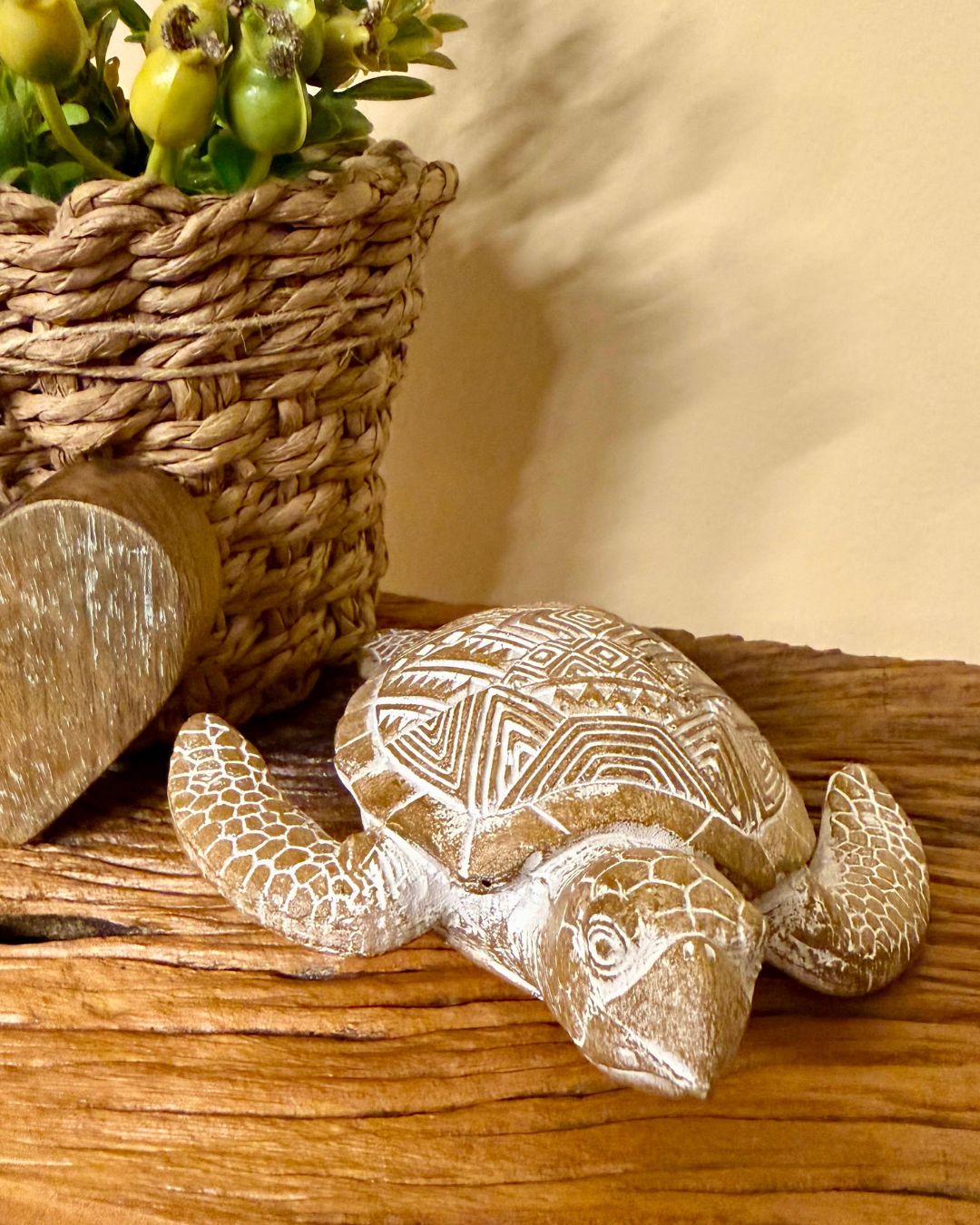 Tartaruga Decorativa em Resina 14cmX13cm - Imagem 6