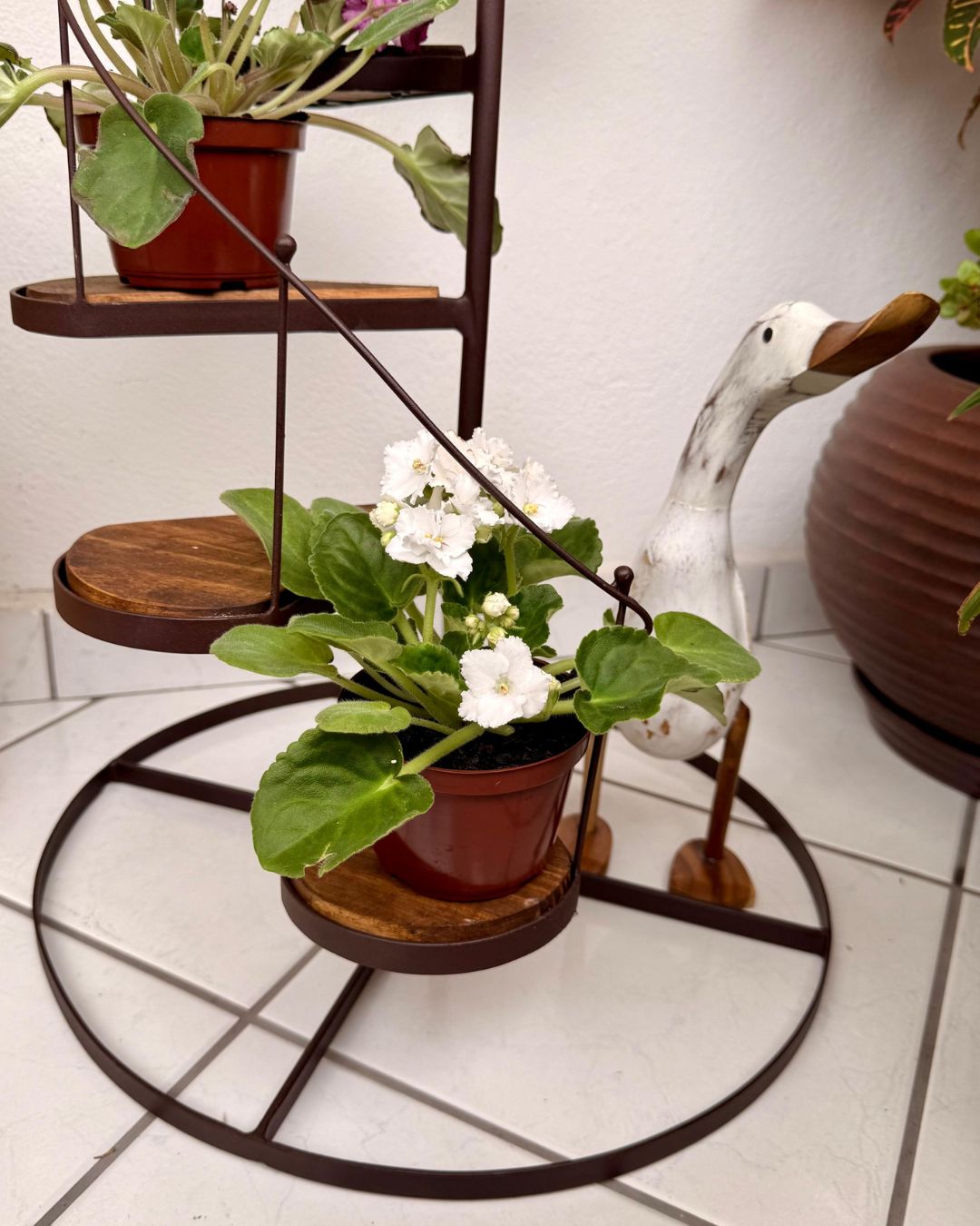 Escada Jardim de Violetas em Ferro e Madeira 1,13mX47cm - Imagem 4