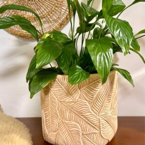 Cachepot Decorativo Cimento Textura de Folhas em Relevo Bege (G)  23,5cm altura - 26d