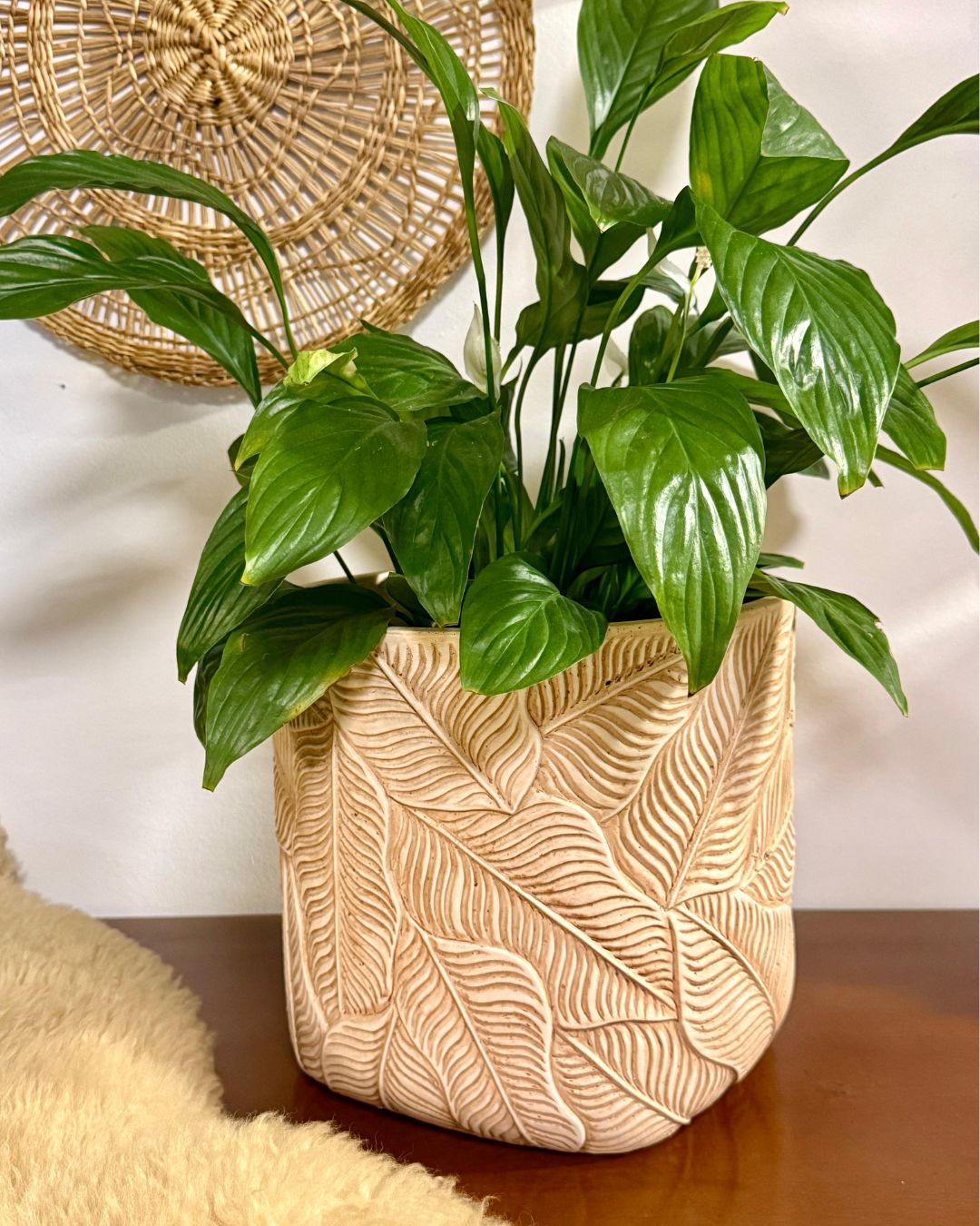 Cachepot Decorativo Cimento Textura de Folhas em Relevo Bege (G)  23,5cm altura - 26d