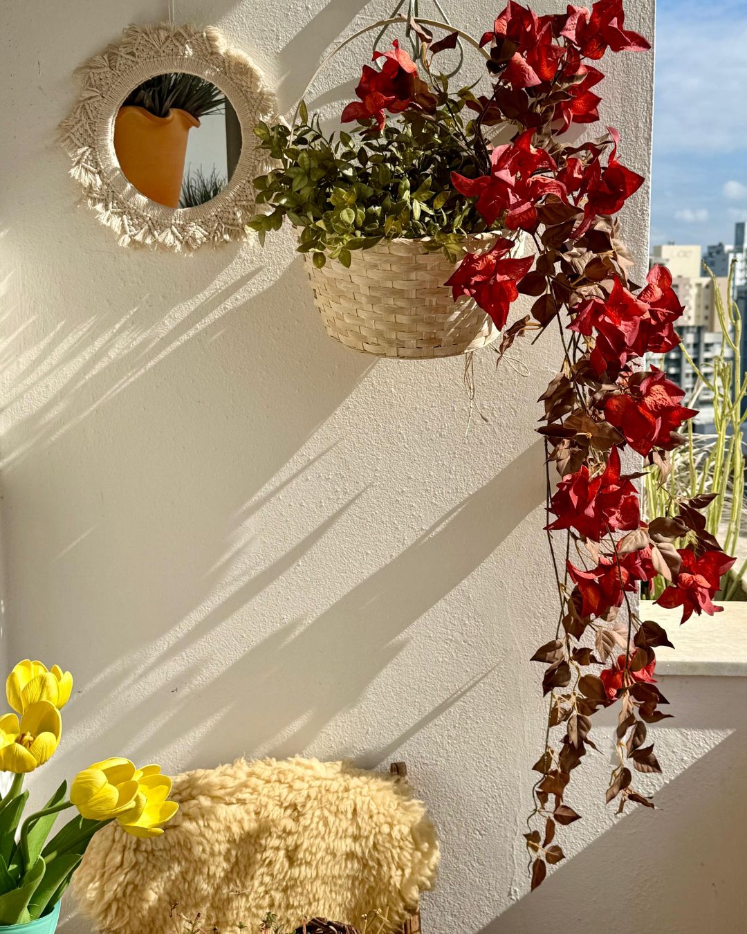 Folhagem Bougainville Pendente Coral - altura 1m